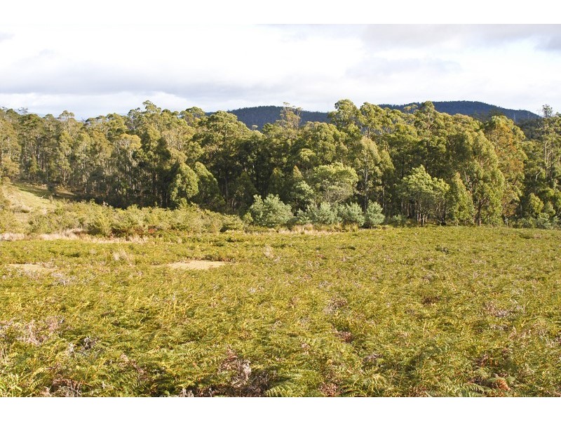 Lot 3 Phipps Road, Runnymede TAS 7190