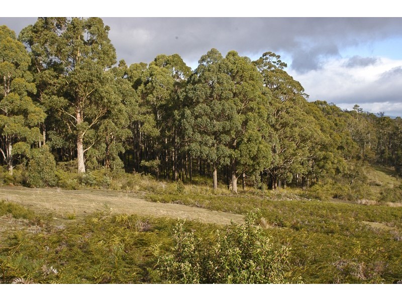 Lot 3 Phipps Road, Runnymede TAS 7190