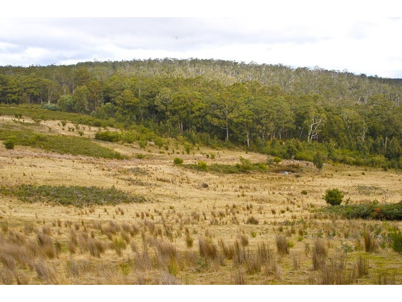 Lot 3 Phipps Road, Runnymede TAS 7190