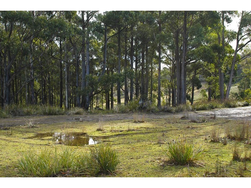 Lot 3 Phipps Road, Runnymede TAS 7190