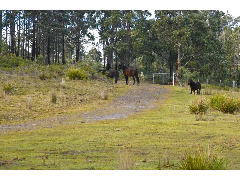 Lot 3 Phipps Road, Runnymede TAS 7190