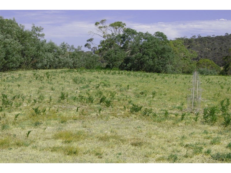 41 Riviera Drive, Carlton TAS 7173