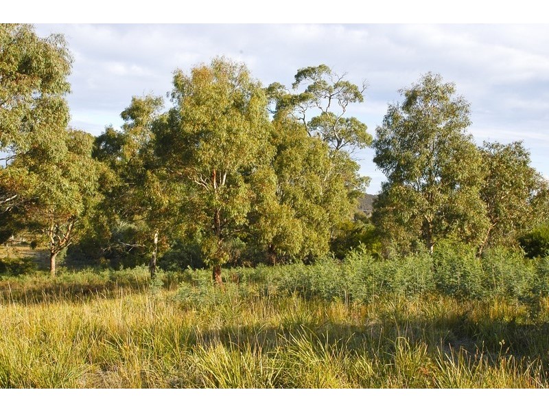 41 Riviera Drive, Carlton TAS 7173