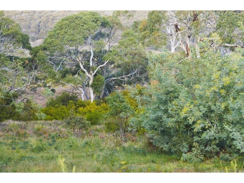 41 Riviera Drive, Carlton TAS 7173