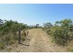 Lot 1 Gellibrand Street, Dunalley TAS 7177