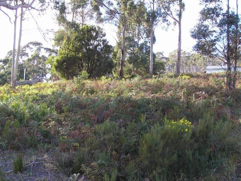 8 Edward Street, Nubeena TAS 7184