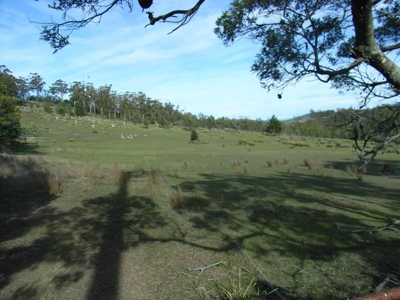 Lot 1 Delmore Road, Forcett TAS 7173