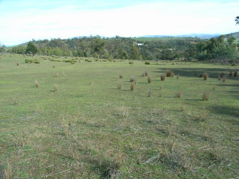 Lot 1 Delmore Road, Forcett TAS 7173