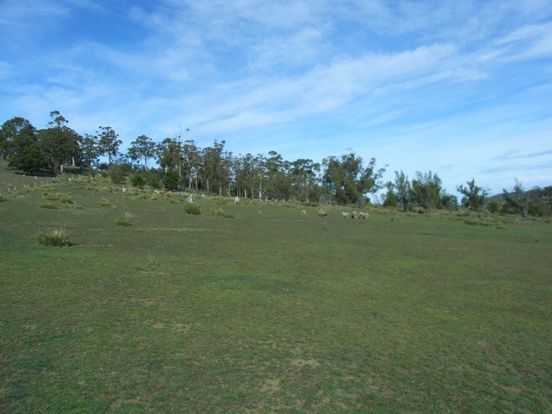 Lot 1 Delmore Road, Forcett TAS 7173