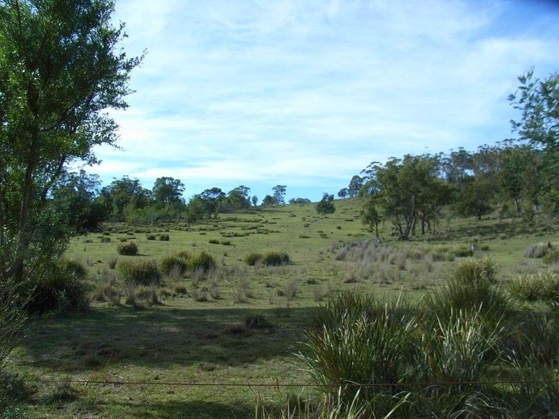 Lot 1 Delmore Road, Forcett TAS 7173