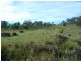Lot 1 Delmore Road, Forcett TAS 7173