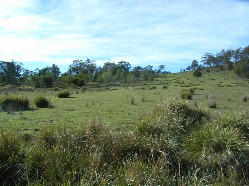 Lot 1 Delmore Road, Forcett TAS 7173