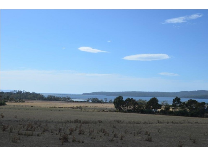 77A Arthur Highway, Dunalley TAS 7177