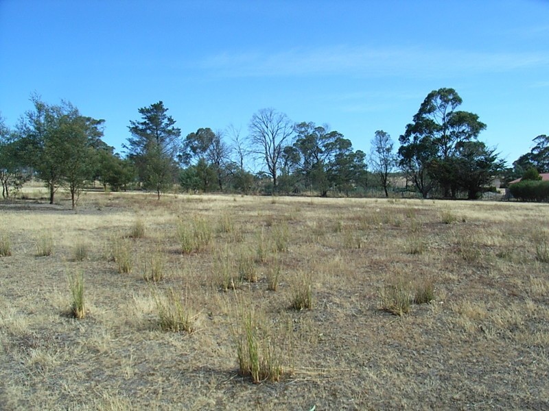 Lot 11 Delmore Road, Forcett TAS 7173