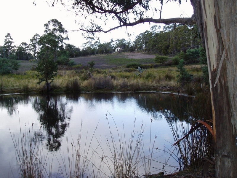 Lot 1 Sugarloaf Road, Forcett TAS 7173