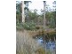 Lot 1 Sugarloaf Road, Forcett TAS 7173