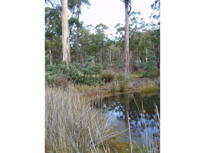 Lot 1 Sugarloaf Road, Forcett TAS 7173