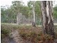 Lot 1 Sugarloaf Road, Forcett TAS 7173