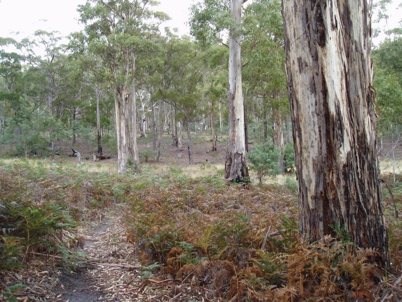 Lot 1 Sugarloaf Road, Forcett TAS 7173