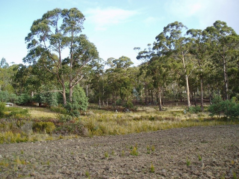 Lot 1 Sugarloaf Road, Forcett TAS 7173
