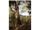 Lot 1 Sugarloaf Road, Forcett TAS 7173