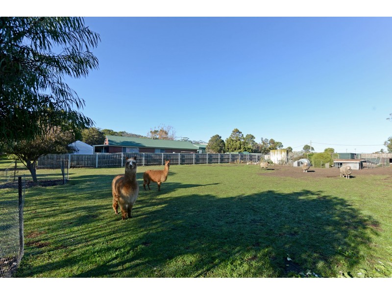 10 Pier Road, Opossum Bay TAS 7023