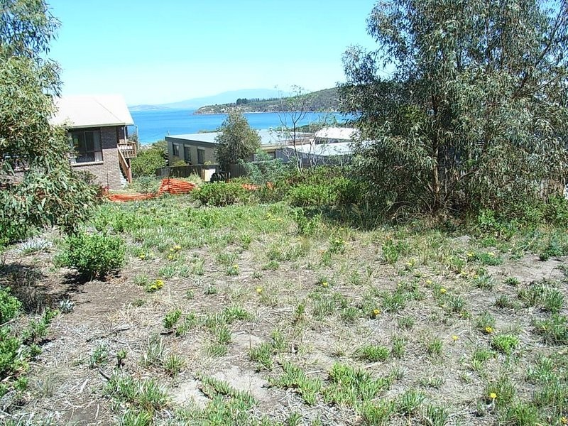 17 Spiraea Street, Primrose Sands TAS 7173