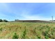 Lots 3, 4 and 5 Bay Road, Marion Bay TAS 7175