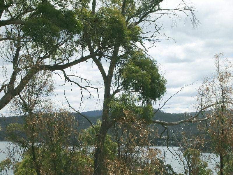 Lot 1 – 209 White Beach Road, White Beach TAS 7184