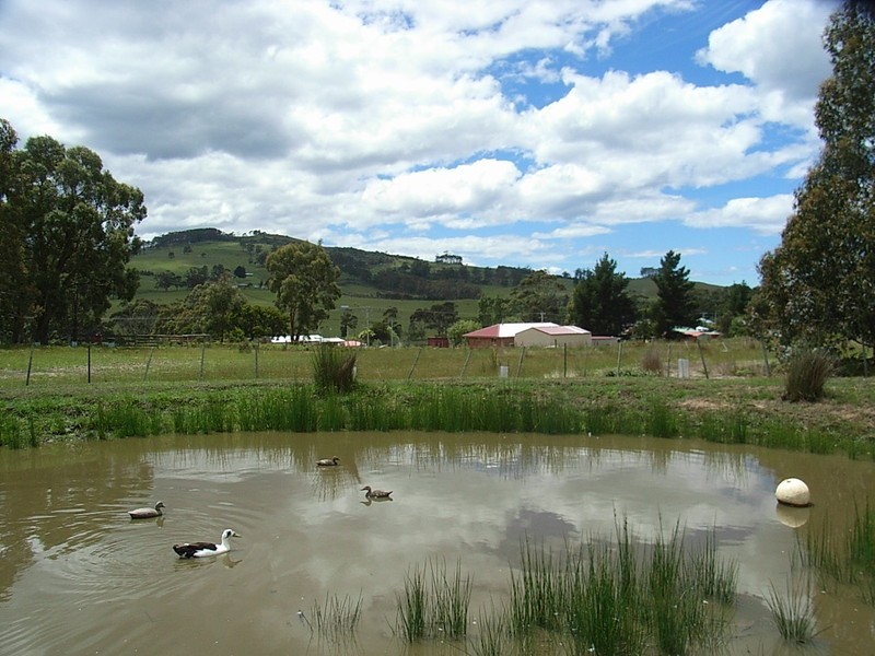 13 Dransfields Road, Copping TAS 7174