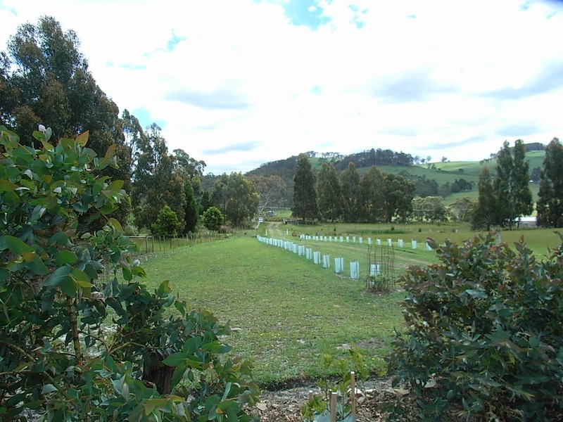 13 Dransfields Road, Copping TAS 7174