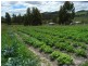 13 Dransfields Road, Copping TAS 7174