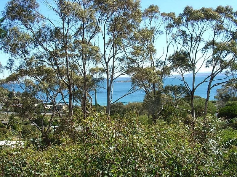 46 Myrica Street, Primrose Sands TAS 7173