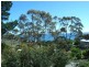 46 Myrica Street, Primrose Sands TAS 7173