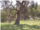 Lot 1 Brinktop Road, Richmond TAS 7025