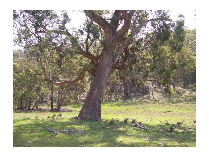 Lot 1 Brinktop Road, Richmond TAS 7025