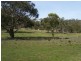 Lot 1 Brinktop Road, Richmond TAS 7025