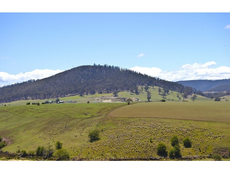 11 Moorpark Court, Forcett TAS 7173