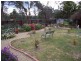 31 Lloyd Street, Carlton TAS 7173