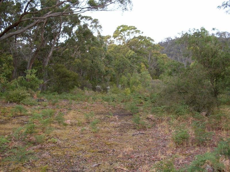 Lot 4 Alfred Street, Nubeena TAS 7184