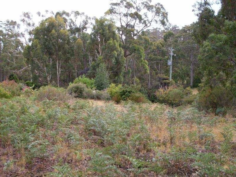 Lot 4 Alfred Street, Nubeena TAS 7184