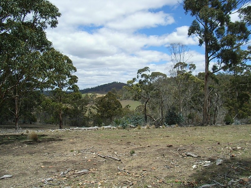 Lot 1 Thornton Drive, Orielton TAS 7172