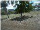 Lot 1 Thornton Drive, Orielton TAS 7172