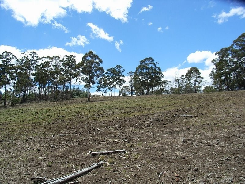 Lot 1 Thornton Drive, Orielton TAS 7172