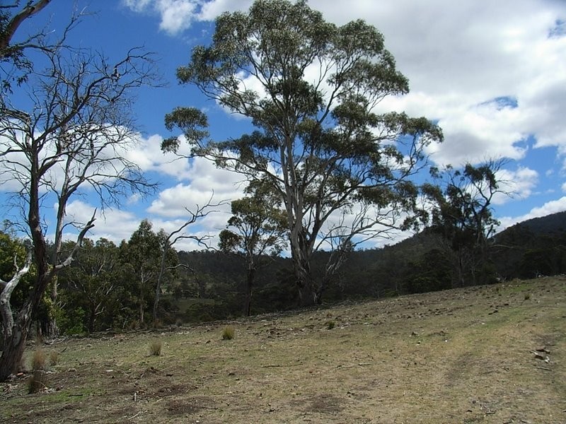 Lot 1 Thornton Drive, Orielton TAS 7172