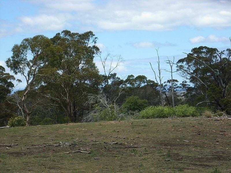 Lot 1 Thornton Drive, Orielton TAS 7172