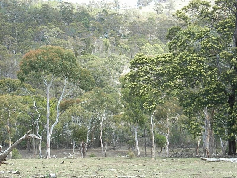 Lot 1 Thornton Drive, Orielton TAS 7172