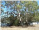 196 Bally Park Road, Dodges Ferry TAS 7173