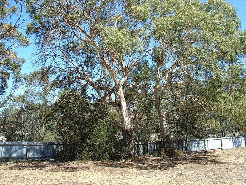 196 Bally Park Road, Dodges Ferry TAS 7173