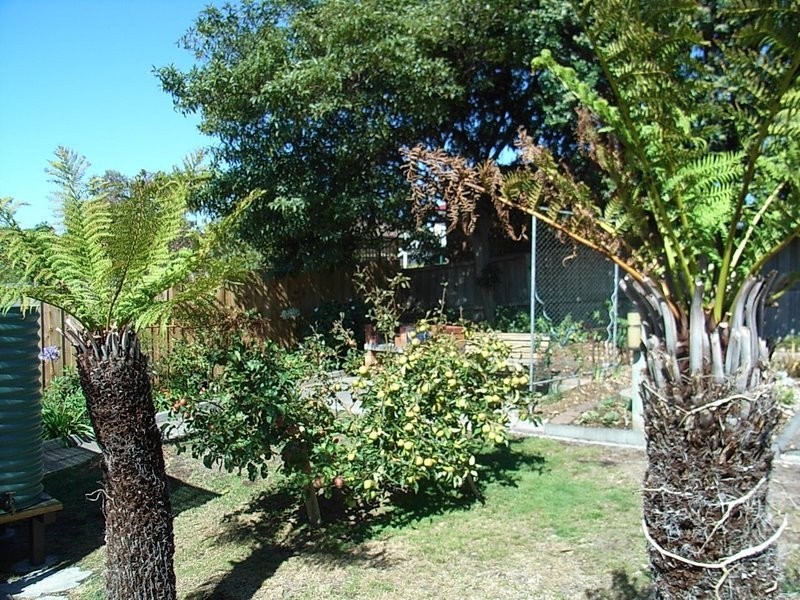 20 Lake Vue Parade, Midway Point TAS 7171